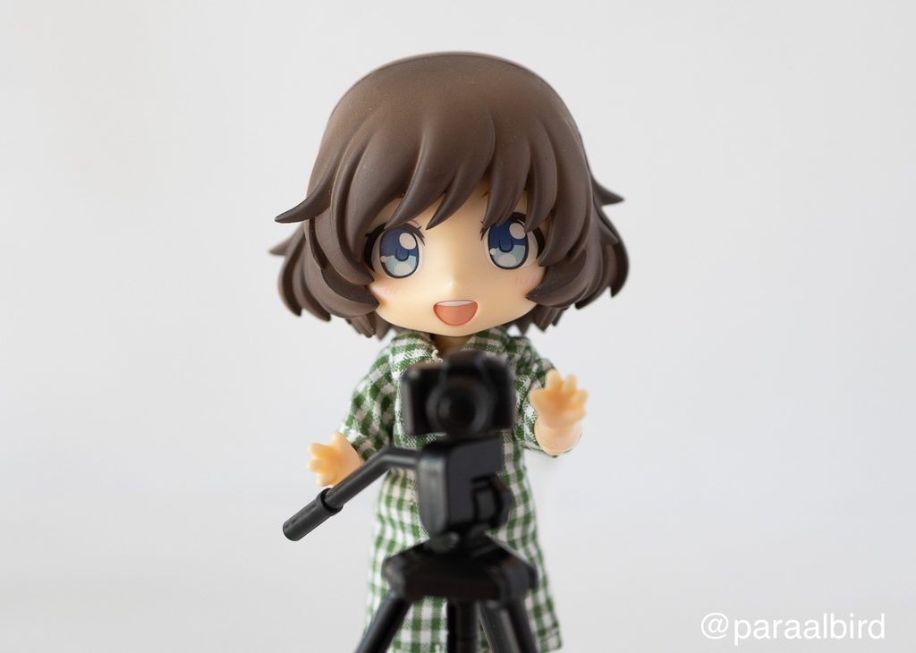カメラを構えるドール、近くによって撮ったので迫力があります。