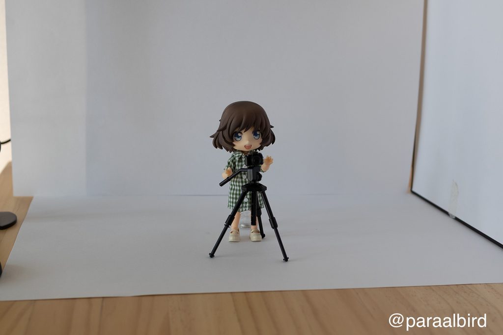 カメラで撮って修正前の写真。中央にドールがいますが、後ろの背景セットも見えてしまっています。