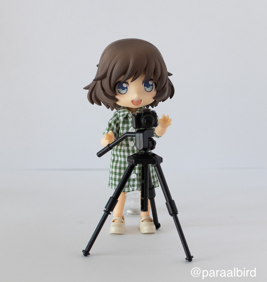 トリミングされた写真。中央にドールがカメラを構えています。