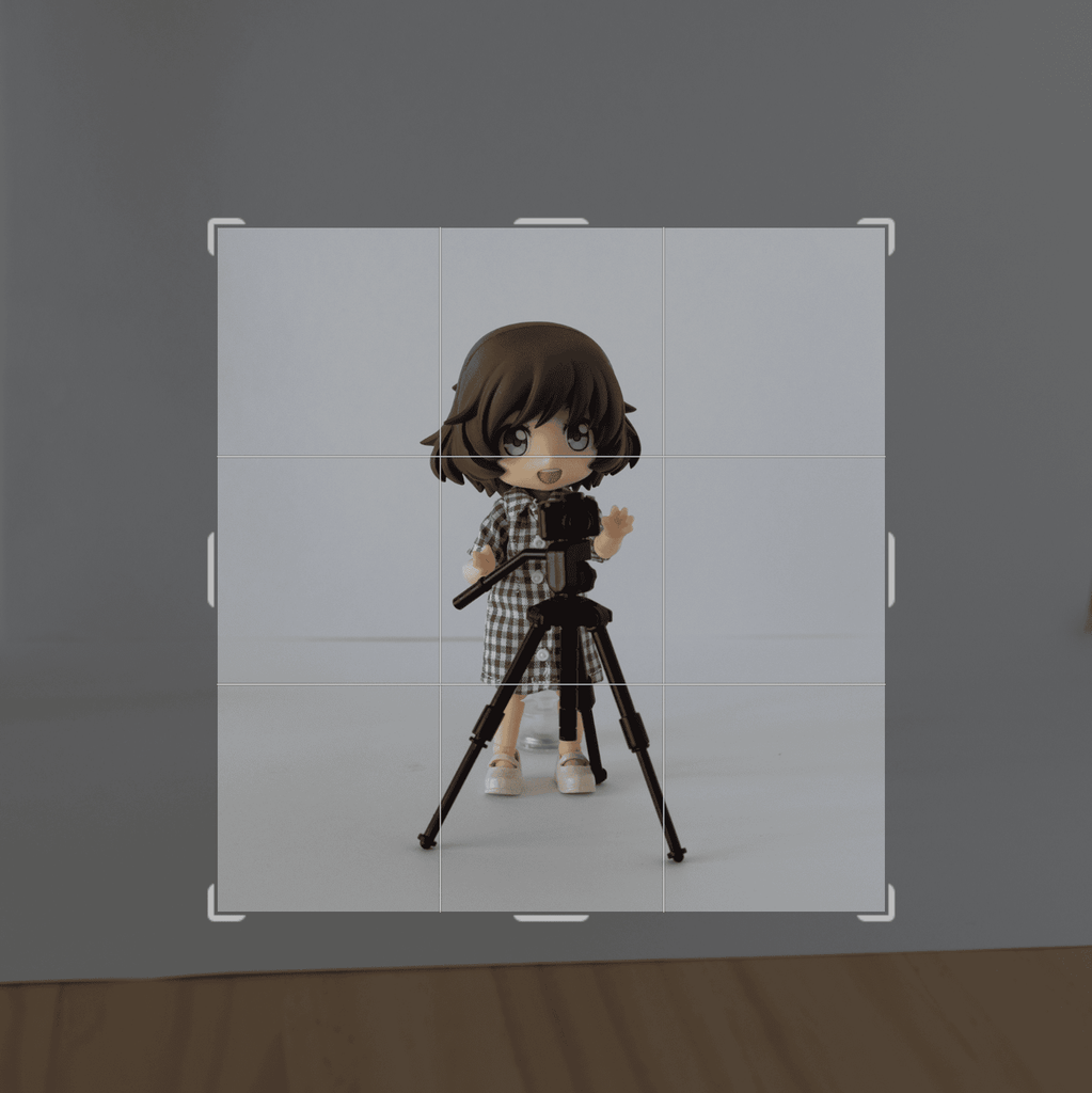 トリミング中の写真。縦横に分割の線が入っていて、これを参考に構図を決めます。